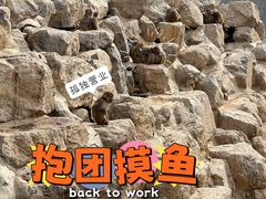 -太原动物园