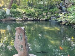-趵突泉景区