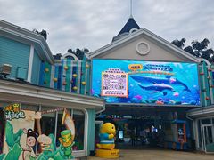-海合安成都极地海洋公园