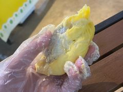 -榴莲BB 四季果园