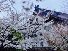 -鸡鸣寺