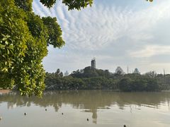 -江心屿景区