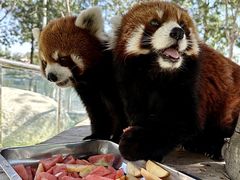 -水上乐园·欢乐世界