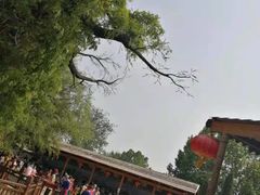 -大槐树寻根祭祖园
