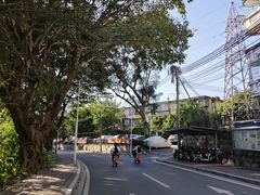 -长洲岛