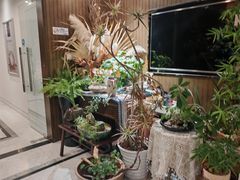 -东方大班·足道·采耳·疗愈SPA(丽都店)