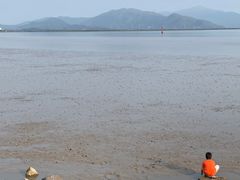 -深圳湾公园(南山区)