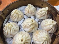 -莱莱小笼·乔艾
