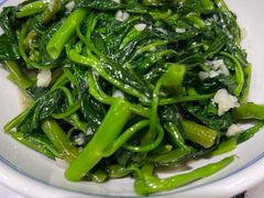 蒜炒空心菜-壹盏灯(蚂蚁工房店)