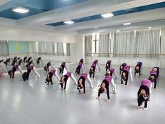 -西安小天鹅艺术团(金花路校区)