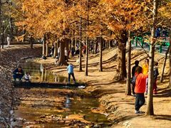 -白水寺森林公园