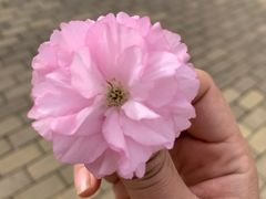 -西安浐灞国家湿地公园