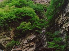 -陕西省红河谷森林公园