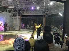 -清迈夜间动物园