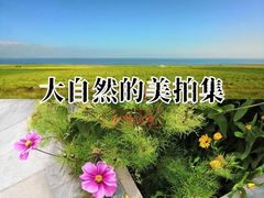 -青海湖国家重点风景名胜区