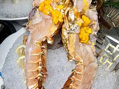 -喜聚薈·花膠雞海鮮火鍋(越秀店)
