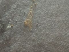 -马群招商花园城