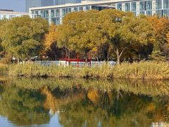 -大兴滨河森林公园