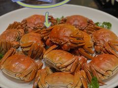 -童福兴·南京菜(老门东店)