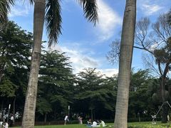-深圳湾公园(南山区)