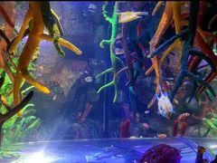 -沈阳海洋探索中心