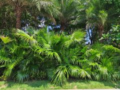 -演武大桥观景平台