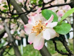 -白鹭湾湿地公园