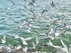 -滇池海埂公园