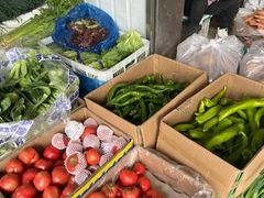 -岳各庄批发市场(西四环中路店)