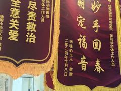 -悦宠凯宝动物医院·牙科·皮肤科(朝阳北路店)