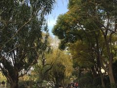 -鲁迅公园