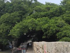 -胡里山炮台