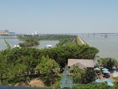 -大湾区中央湿地公园