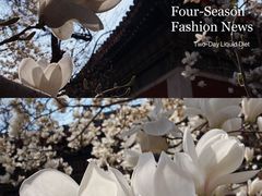 -北京艺术博物馆(万寿寺)