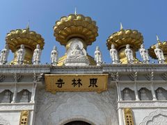 -上海东林寺(金山区)