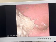 -瑞派宠物医院·24h·骨外科·皮肤科·全科宠物医疗转诊中心(沈阳浑南院)