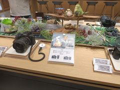 -Sony Store索尼(广州正佳店)