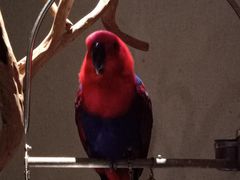 -兰亭茶叙(新新家苑店)