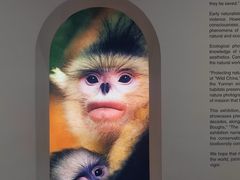 -中国湿地博物馆