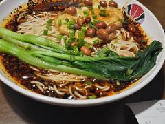 -杨记隆府(重庆总店)