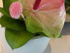 -上海总会SHANGHAICLUB(兴业太古汇店)