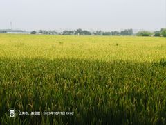 -嘉北郊野公园