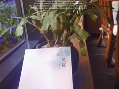 -瓦库茶馆17号(海汇港店)