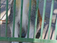 -秦皇岛野生动物园