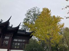 -枫桥景区