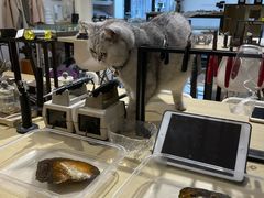 -Oasis绿洲银饰珍珠手作diy(壹方城店)