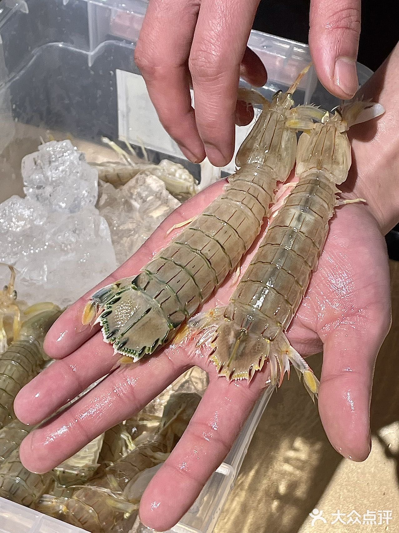 成都这家粤菜适合过年聚餐[调皮]！人均几十