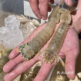 成都这家粤菜适合过年聚餐[调皮]！人均几十