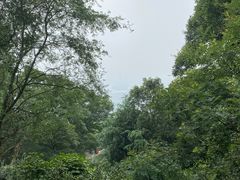 -紫金山山顶公园