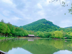 -八卦田遗址公园